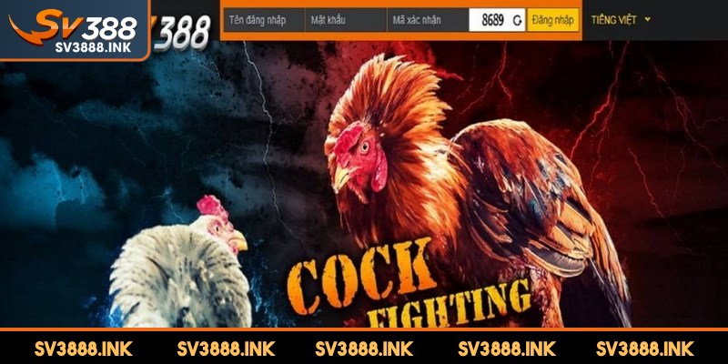 Tuân thủ một số nguyên tắc quan trọng để quá trình đăng ký SV388 được suôn sẻ