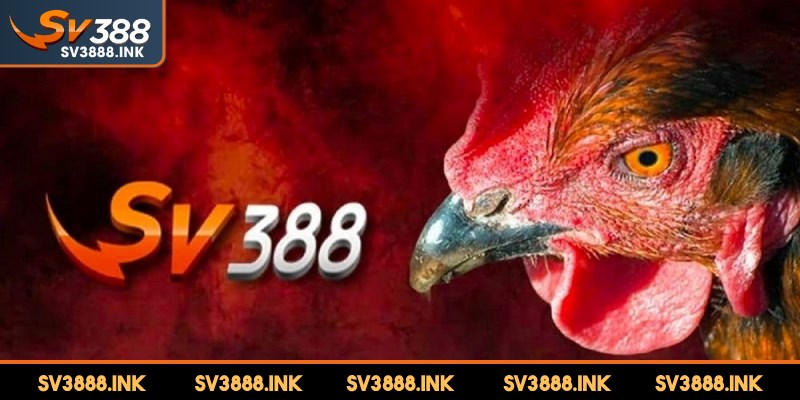 Đảm bảo sự hài lòng tuyệt đối cho game thủ khi tham gia cược