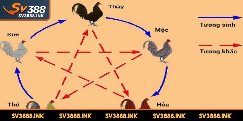 Ý nghĩa và vai trò của việc xem màu mạng gà đá