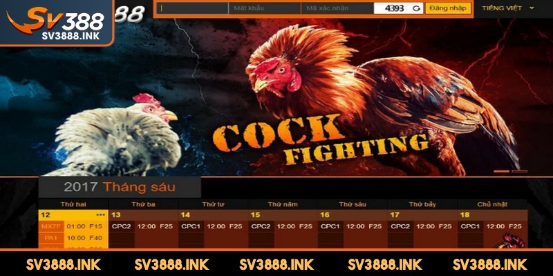 Đá gà là sản phẩm chủ lực đưa tên tuổi của SV388 đến gần hơn với người chơi