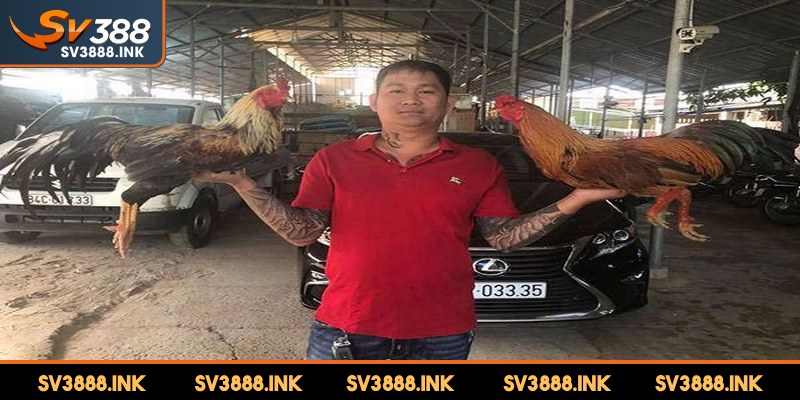 Chi tiết diễn biến mới nhất trận đá gà 24 tỷ