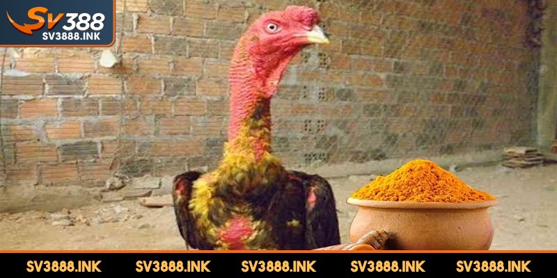Chỉ nên thực hiện vào những ngày thời tiết đẹp là lưu ý quan trọng