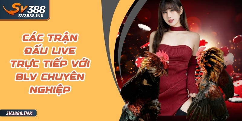 Các trận đấu live trực tiếp với BLV chuyên nghiệp là điểm thu hút người chơi