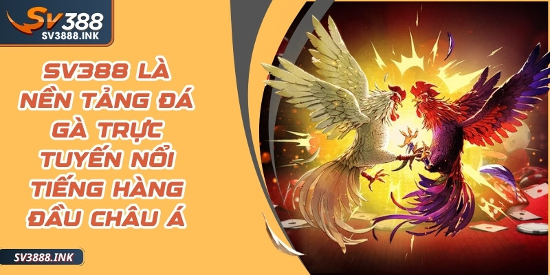 SV388 là nền tảng đá gà trực tuyến nổi tiếng hàng đầu châu Á