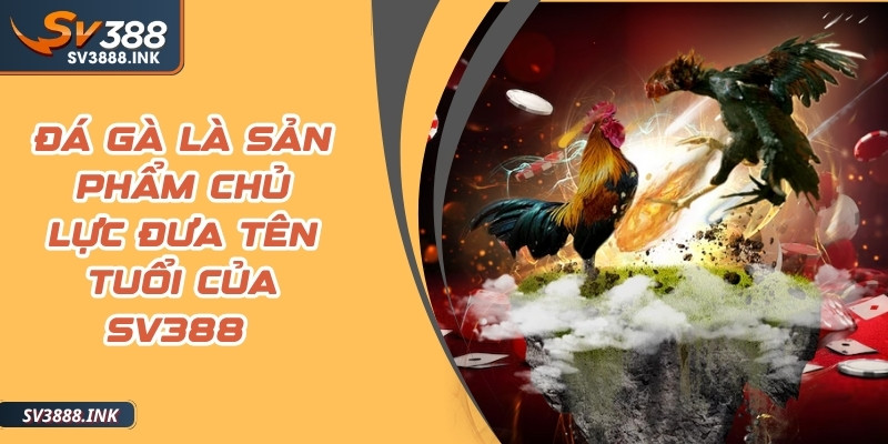 Đá gà là sản phẩm chủ lực đưa tên tuổi của SV388 đến gần hơn với người chơi